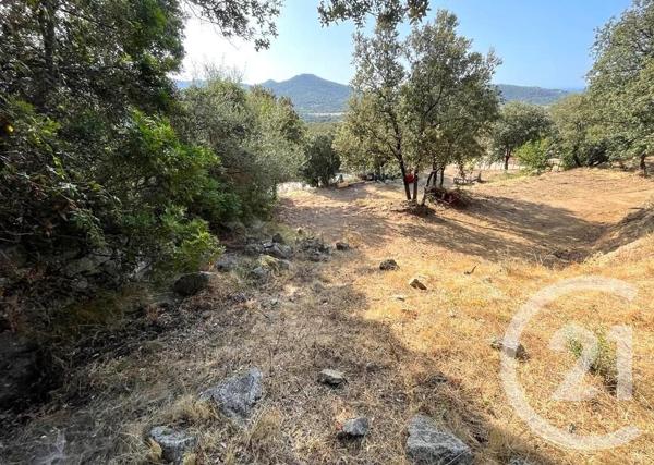 Terrain à vendre  2760 m2 BELGODERE - 202