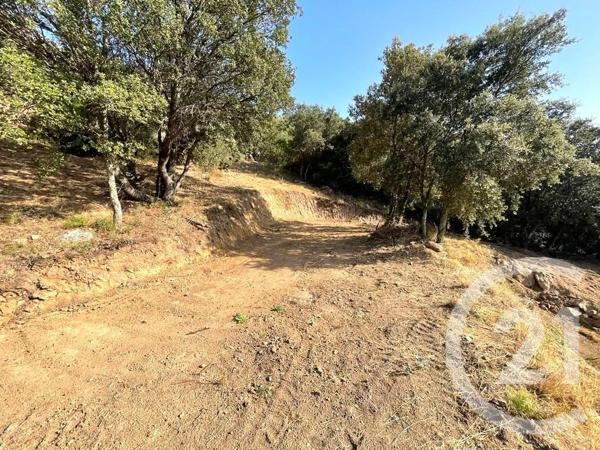 Terrain à vendre  2760 m2 BELGODERE - 202