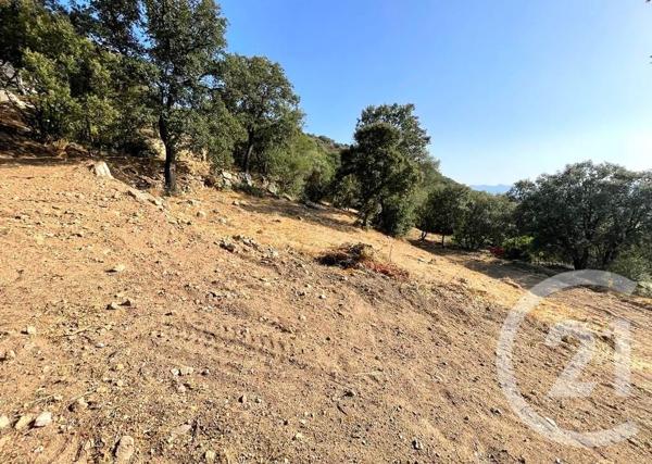 Terrain à vendre  2760 m2 BELGODERE - 202