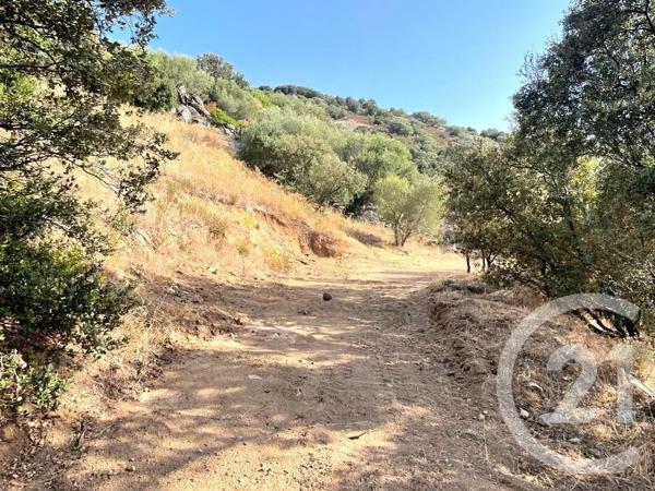 Terrain à vendre  2760 m2 BELGODERE - 202