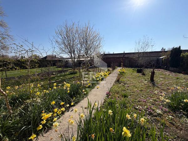 CHAUNY, PRODUIT RARE !