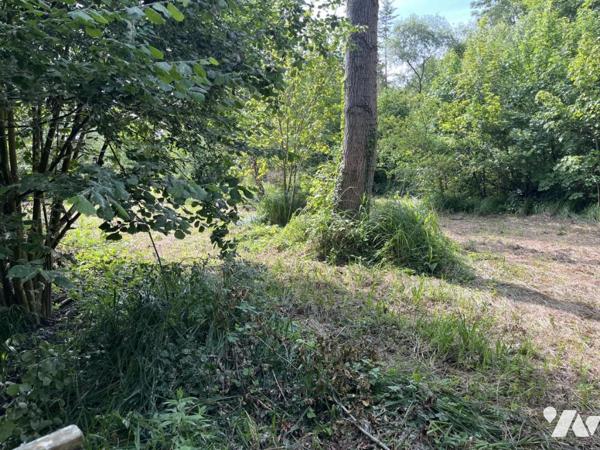 PARCELLE DE TERRAIN AVEC ETANG 