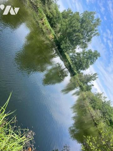 PARCELLE DE TERRAIN AVEC ETANG 