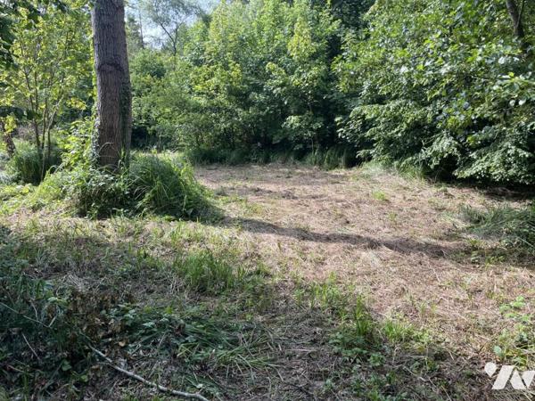 PARCELLE DE TERRAIN AVEC ETANG 