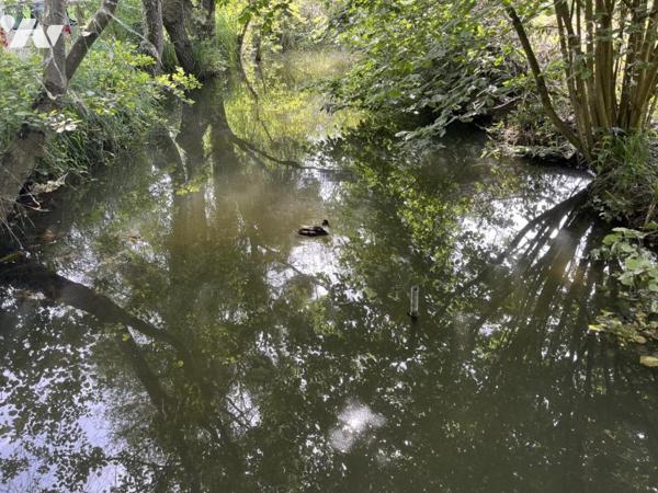 PARCELLE DE TERRAIN AVEC ETANG 