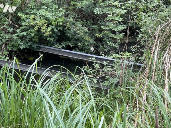 PARCELLE DE TERRAIN AVEC ETANG 