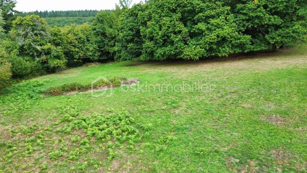 Terrain de 2 486 m²