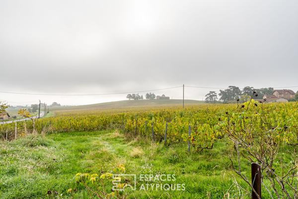 Charmante maison au coeur des vignobles du Beaujolais vert