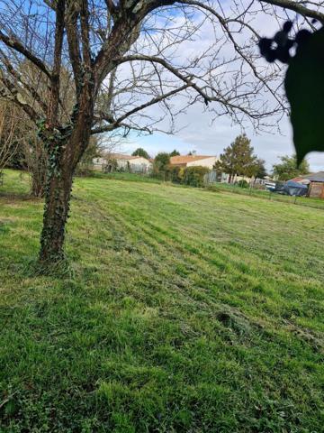 Terrain constructible de 527 m² avec CU