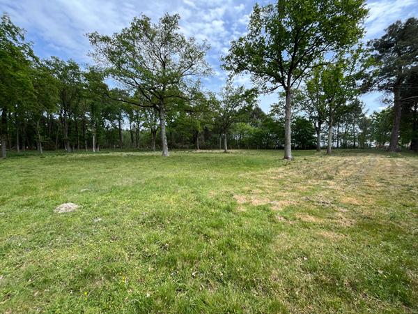 Terrain constructible en campagne et dans un environnement boisé !