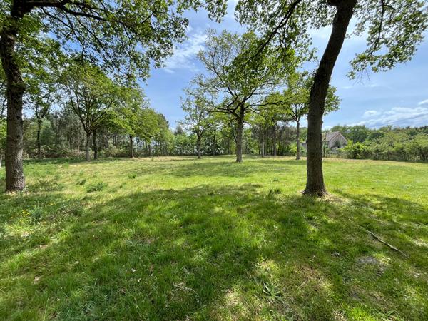 Terrain constructible en campagne et dans un environnement boisé !