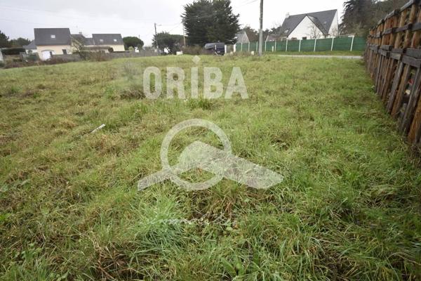 Terrain constructible