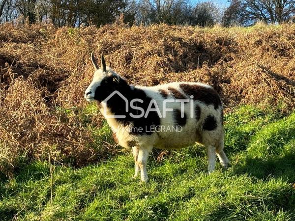 MAGNIFIQUE DOMAINE AVEC GÎTES PROCHE DE LISIEUX