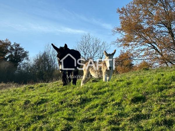 MAGNIFIQUE DOMAINE AVEC GÎTES PROCHE DE LISIEUX