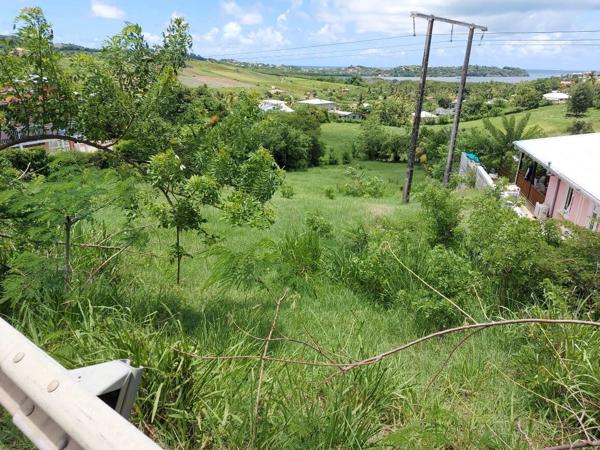 Vente Terrain 1000 m2 à Le Vauclin