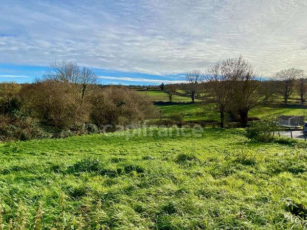 Terrain à vendre Quinssaines (03) 1352m² - Cadre verdoyant - Forêt