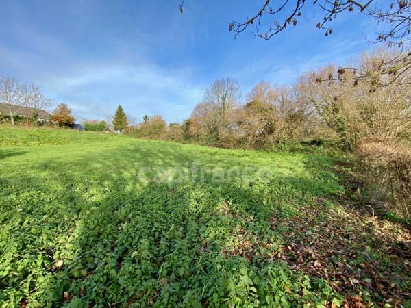 Terrain à vendre Quinssaines (03) 1352m² - Cadre verdoyant - Forêt