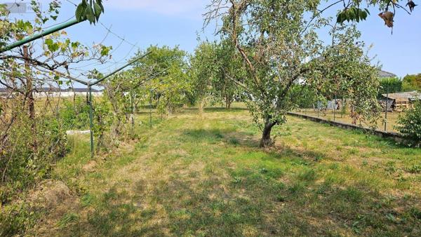 Maison à vendre à Frignicourt dans la Marne (51300), ref : 51081/923