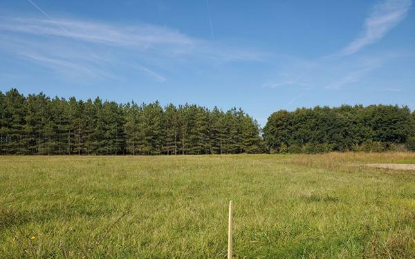 Terrain à vendre    Canals