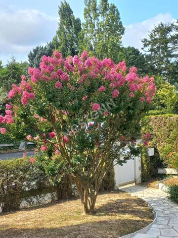 Maison Avrillé - Parc de la Haye - sous-sol - 4 chambres - jardin