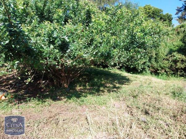 Terrain à vendre 36820m²