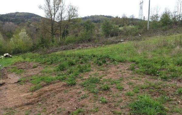 Vente Terrain A batir Le chambon-feugerolles   