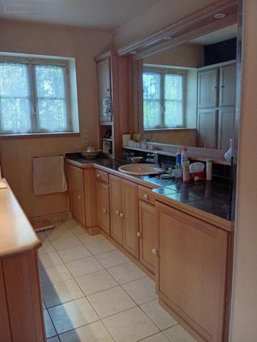 Propriete à vendre à Beaugency dans le Loiret (45190), ref : 091/1508