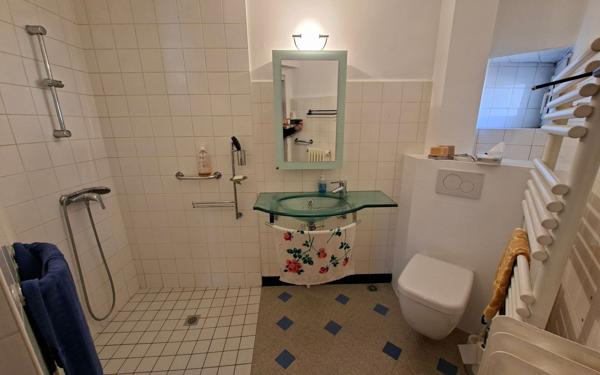 Maison à vendre    7 pièces • 303 m2 Renage