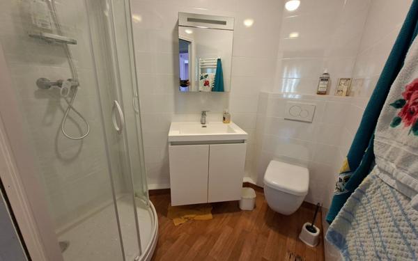 Maison à vendre    7 pièces • 303 m2 Renage