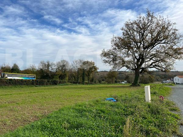 Magnifique terrain constructible