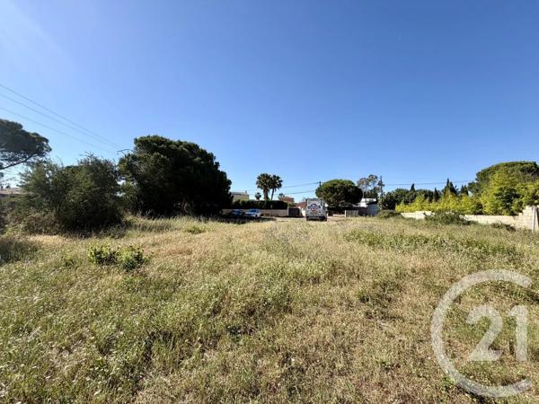 Terrain à vendre  443 m 2   MARSEILLAN  - 34