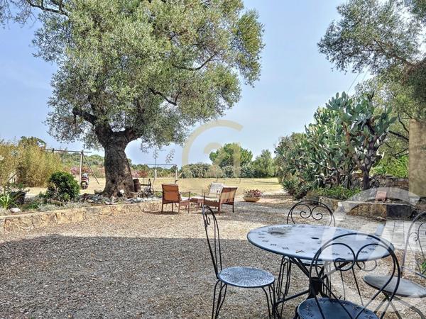 Maison à vendre  12 pièces - 253,98 m2 CALVI - 202