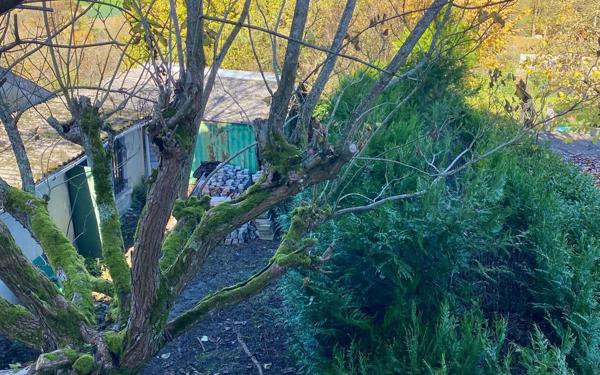 Maison à vendre    4 pièces •  Charmont