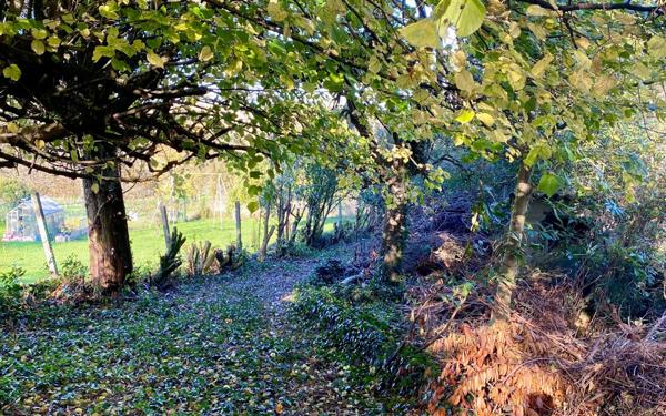 Maison à vendre    4 pièces •  Charmont