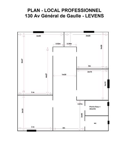 Local Professionnel LEVENS