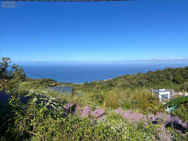 Terrain à Batir à vendre à Les Avirons à la Réunion (97425), ref : 40079