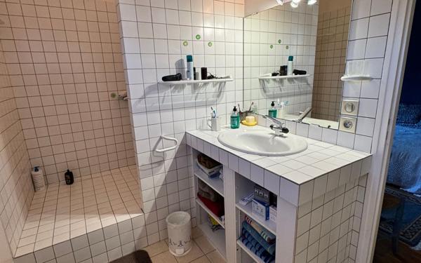 Maison à vendre    5 pièces • 238 m2 Idron