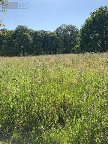 Achat - Terrain à bâtir Le Moustoir 22340 2156 m 2