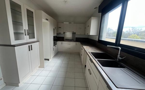 Appartement à louer    3 pièces •  Castres
