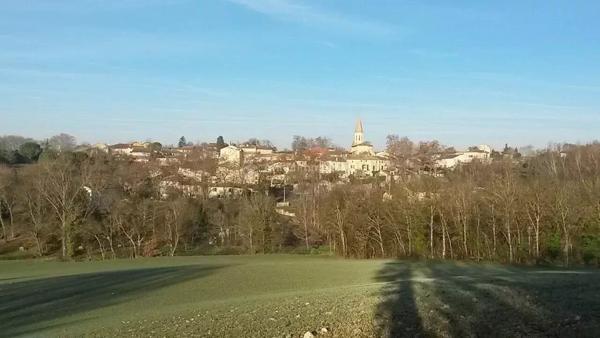 Vente Immeuble 10 pièces 362 m2 à Albi