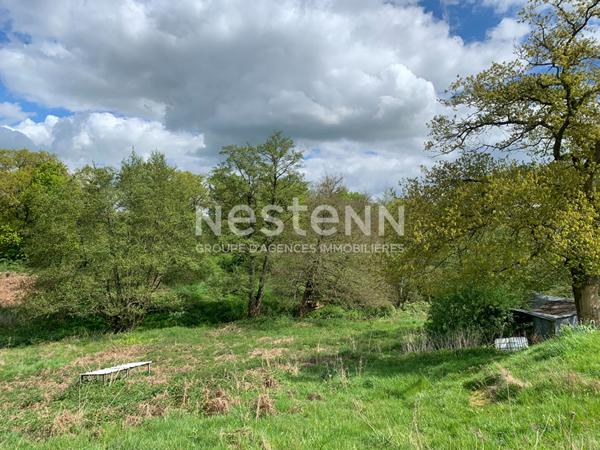 Belle maison ancienne rénovée de 259m² sur un terrain de plus de 2 hectares