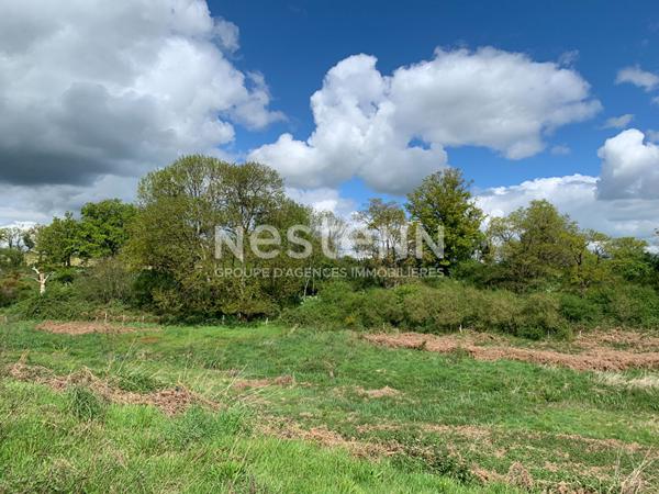 Belle maison ancienne rénovée de 259m² sur un terrain de plus de 2 hectares