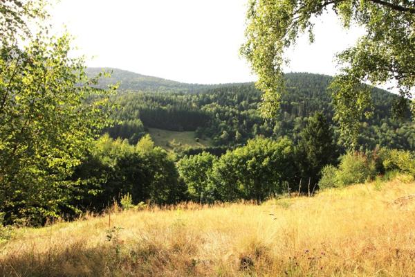 Vente / Terrain à Bussang (88540)