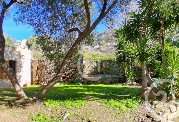 Maison à vendre  5 pièces - 128 m 2   LUMIO  - 202