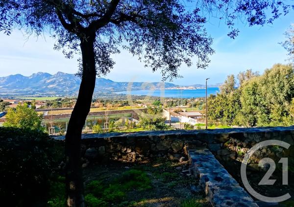 Maison à vendre  5 pièces - 128 m 2   LUMIO  - 202
