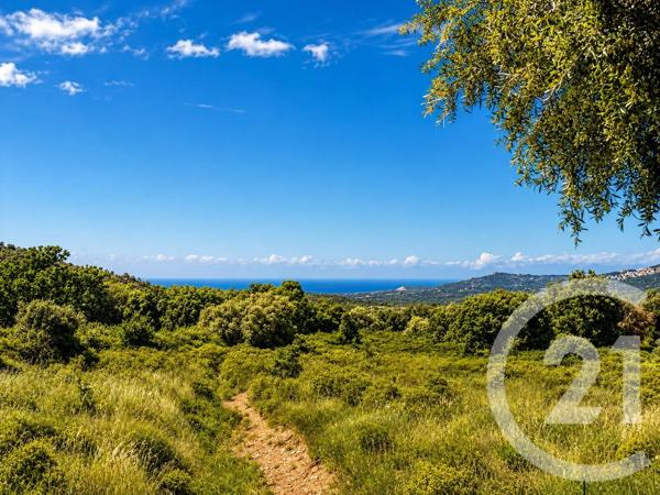 Maison à vendre  5 pièces - 107,23 m 2   CALENZANA  - 202