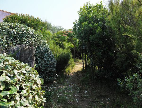 Localisation unique. Vue mer et accès direct à la plage