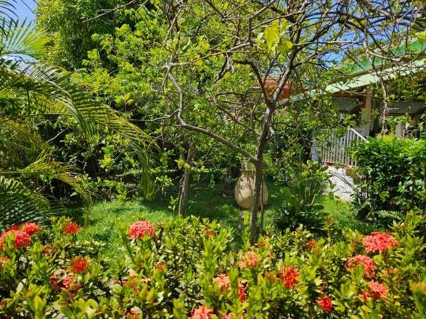 Maison à vendre 5 pièces SAINTE ANNE (971)