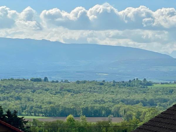 Maison à vendre 5 pièces SAINT JEAN DE GONVILLE (01) un mariage réussi entre prestations de qualité et vie de plain-pied !