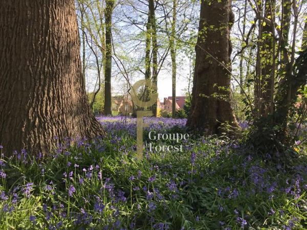 Maison individuelle Roubaix Secteur Croix-Hem-Roubaix 125 m²